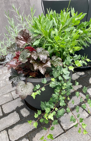 Контейнерное озеленение